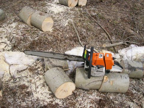 2000 Chevrolet Tahoe - A Stihl chainsaw is positioned on cut logs in a wooded area with sawdust scattered around.