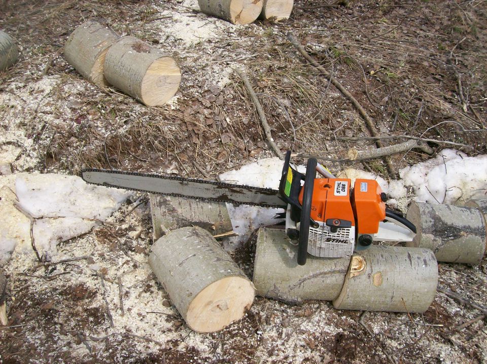 Orange and white Stihl chainsaw resting on cut logs outdoors