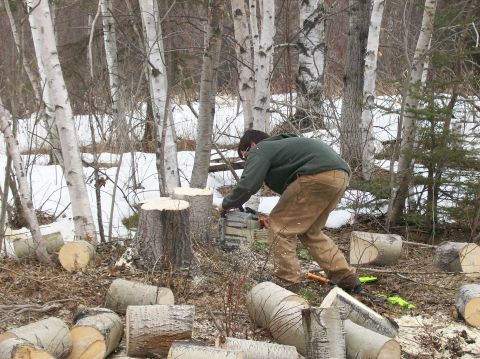 2000 Chevrolet Tahoe - A person is using a chainsaw to cut down a tree stump in a wooded area with snow on the ground.