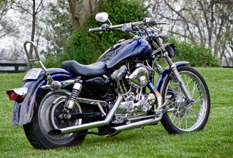 2005 Ford Crown Victoria - A blue motorcycle with chrome details sits on a grassy lawn.