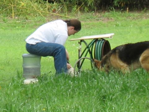1978 Ford Bronco - A person and a German Shepherd are in a grassy outdoor area, with the person seated on a water cooler.