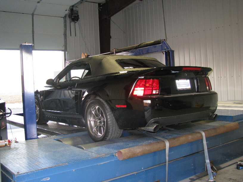 Black convertible on a dynamometer, rear view. Appears to be a Ford Mustang