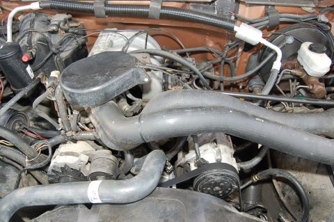 1989 Ford Bronco - Engine bay details of a 1989 Ford Bronco, showing various components and hoses.
