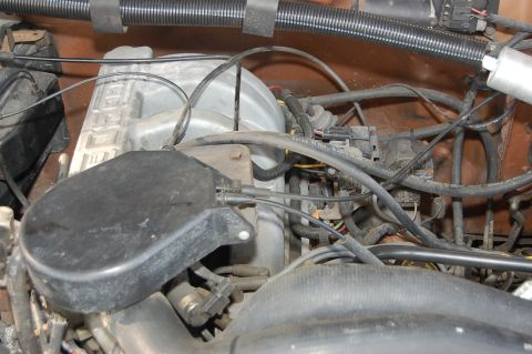 1989 Ford Bronco - Engine bay detail showing various hoses and electrical connections.