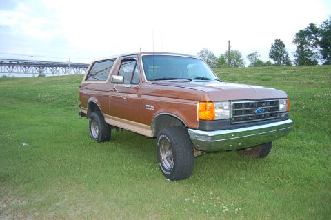 1989 Ford Bronco - Brown 1989 Ford Bronco with tan trim, parked outdoors on a grassy hill.