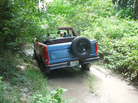 1983 Ford Bronco - This 1983 Ford Bronco navigates a muddy path surrounded by lush green foliage.