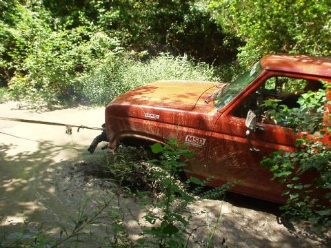 1983 Ford Bronco - A red Ford Bronco is stuck in a muddy ditch, with vegetation encroaching on the scene.