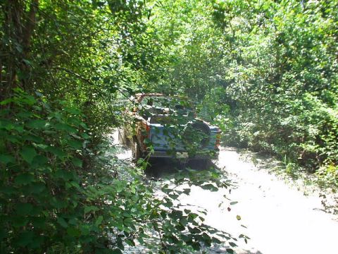1983 Ford Bronco - An SUV navigates a muddy path surrounded by dense foliage.