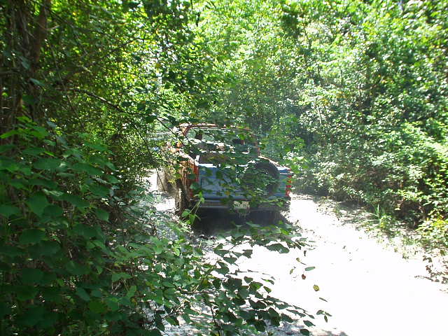 SUV driving through water on a dirt road, partially obscured by trees