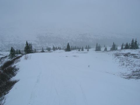 2003 Jeep TJ - A vast, snow-covered landscape stretches out, dotted with evergreen trees and shrouded in mist.