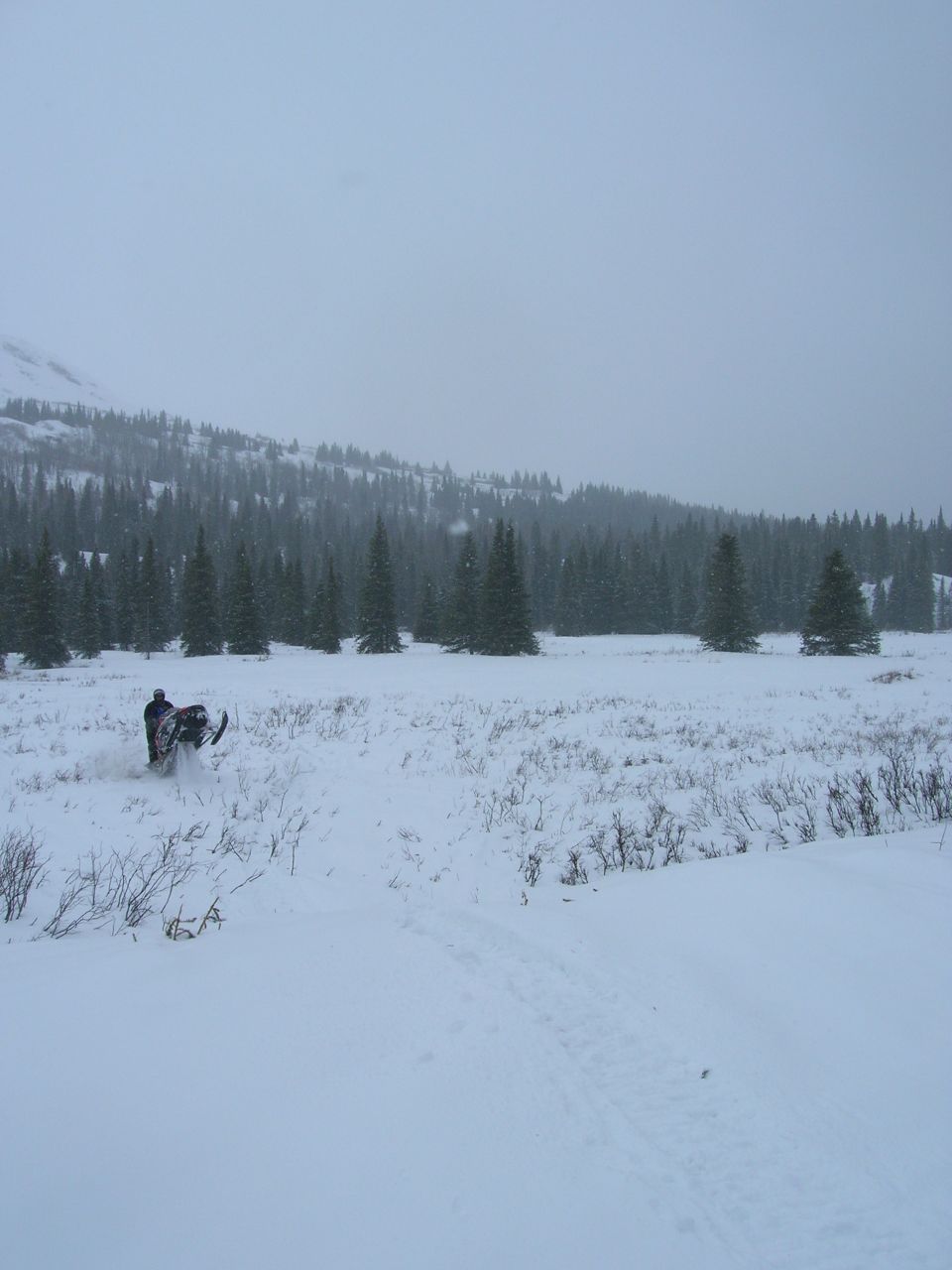 Snowmobile in a snowy field with trees and mountains in the background