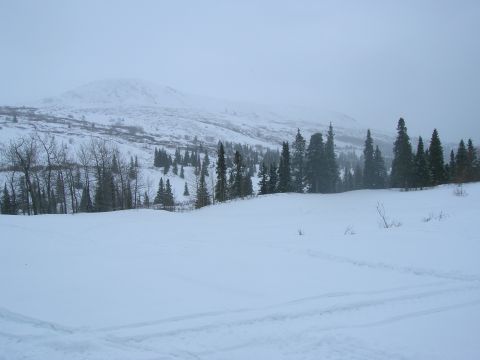 2003 Jeep TJ - A vast, snow-covered landscape with a mountain in the distance and trees dotting the hills.