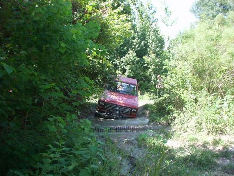 1983 Ford Bronco - A red van navigates a challenging off-road path through dense foliage.