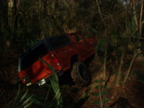 1983 Ford Bronco photo