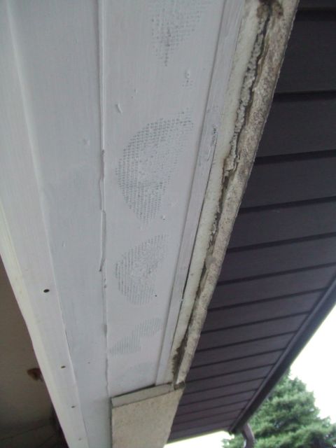 1996 Ford Bronco - Detail of house soffit and fascia, showing texture marks on the white soffit.