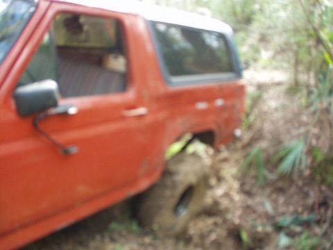 1983 Ford Bronco photo