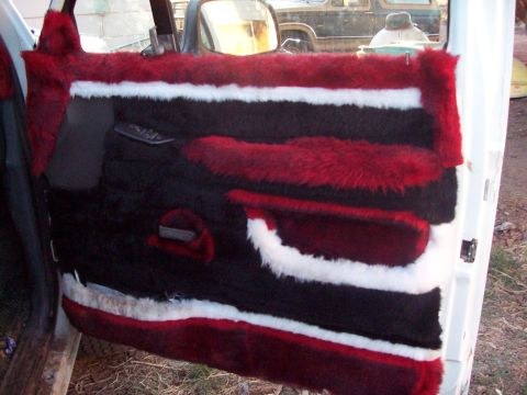 1984 Ford Bronco - Fuzzy door, No i DIDNT do it!