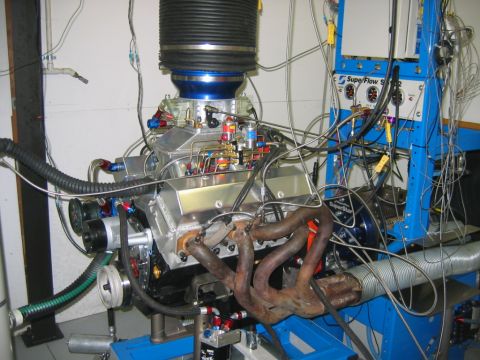 1992 Ford Mustang - wayne o