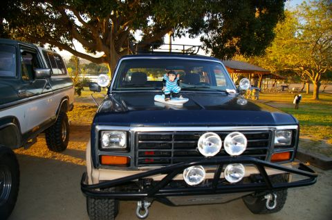 1986 Ford Bronco - Two older model trucks parked outdoors with trees and a picnic shelter in the background.