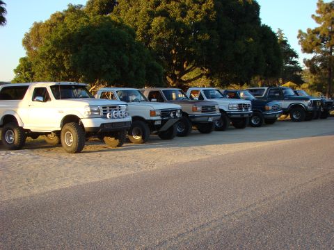 1986 Ford Bronco - A row of Ford Broncos and trucks are parked outdoors on a sunny day with trees in the background.