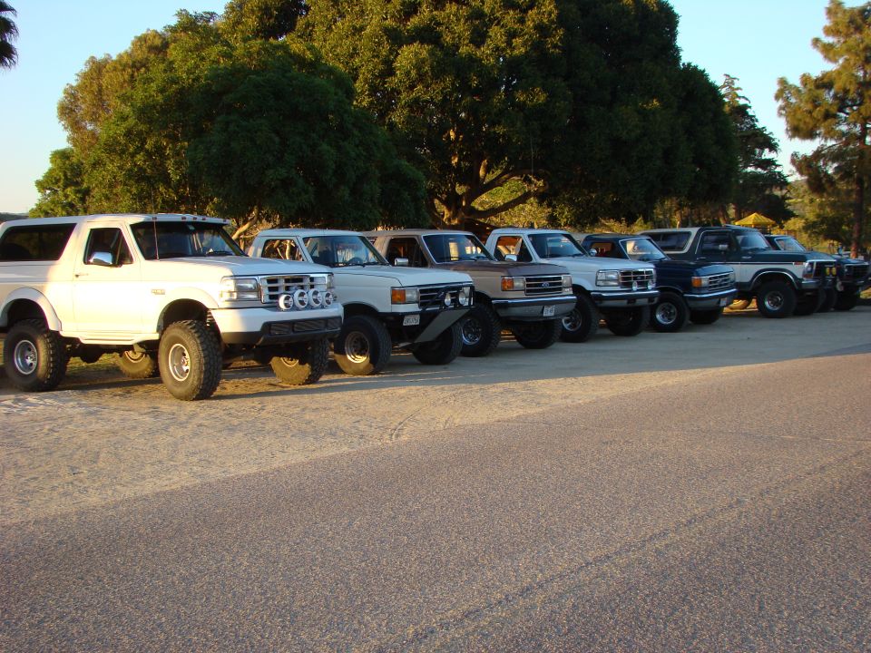 Several Ford Broncos and F-Series trucks parked in a line. The first vehicle is a white Bronco