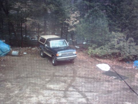 1991 Ford Bronco photo