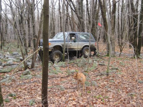 1991 Ford Bronco - A lifted Ford Bronco navigates a rocky, wooded path during an off-road event.