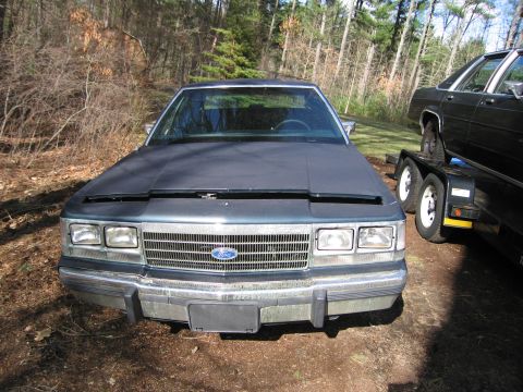 1991 Ford LTD Crown Victoria - A Ford Crown Victoria is parked in front of a wooded area, with another vehicle on a trailer nearby.