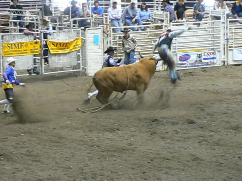 2006 Ford E350 - Guy getting butted by a bull.