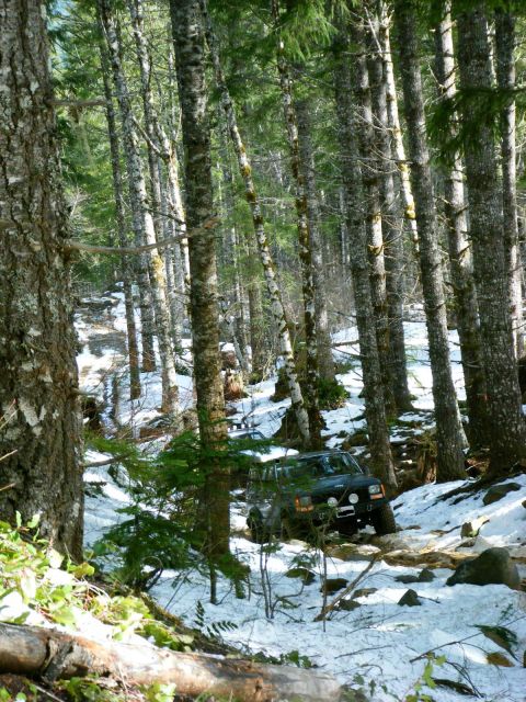 2005 Jeep Wrangler - Shot downhill through a stand of mossy conifers, a dark green Jeep Cherokee XJ with roof-mounted auxiliary lights and mud-terrain tires pic…