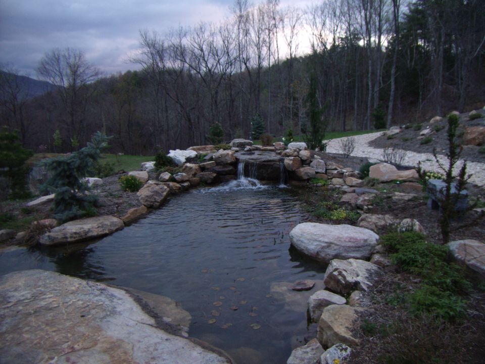 Water feature with rocks and plants, with a gravel path and trees in the background