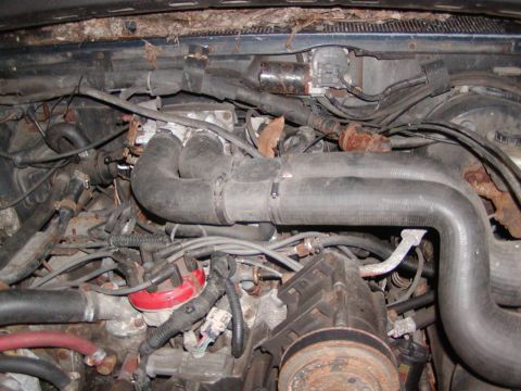 1991 Ford Bronco - Close-up of an engine bay showing hoses, distributor cap, and wiring harness.