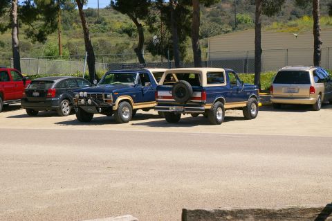 1986 Ford Bronco - This blue Ford Bronco, likely from the early 1980s, is parked alongside other vehicles in a lot.