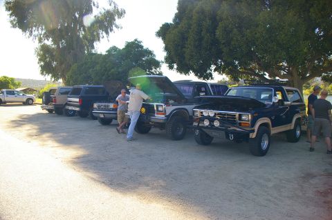 1986 Ford Bronco - Several SUVs are parked in a line with hoods open, including a dark blue and tan Ford Bronco.