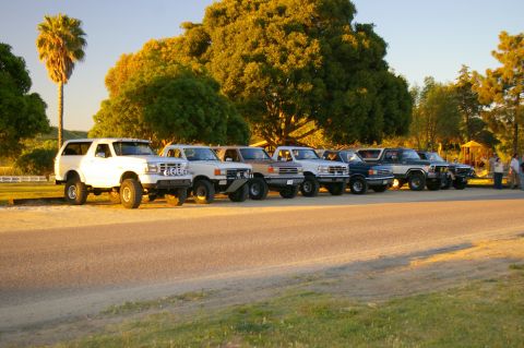 1986 Ford Bronco - A lineup of vintage Ford trucks and Broncos are parked outdoors during golden hour, with a group of people standing near the end of the lin…