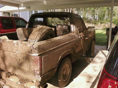 1983 Ford Bronco photo