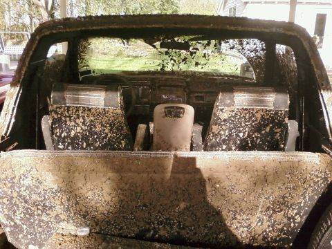 1983 Ford Bronco photo