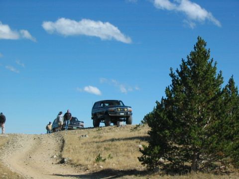 1996 Ford Bronco - Several people stand near SUVs on a dirt road with a large pine tree in the foreground.