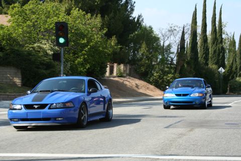 1998 Ford Crown Victoria - blue Ford Mustang with hood scoop and a blue Mustang Cobra travel along a tree-lined road.