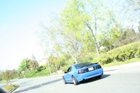 1998 Ford Crown Victoria - blue Ford Mustang with a rear spoiler drives away from the camera on a bright tree-lined road.