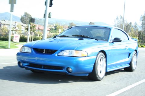 1998 Ford Crown Victoria - blue Ford Mustang Cobra coupe with white wheels and a snake badge drives along a residential road.