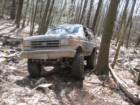 1991 Ford Bronco - A lifted Ford Bronco navigates a challenging off-road path through a dense forest.