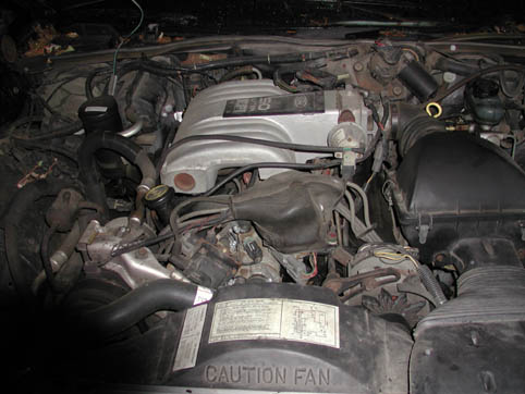 1988 Ford Crown Victoria LTD “pookie”