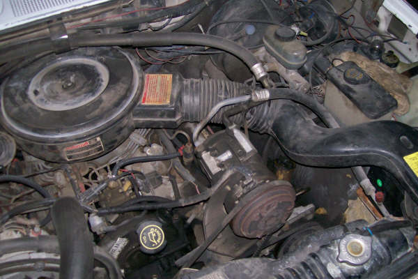 Engine bay with air cleaner assembly, hoses, and engine components visible