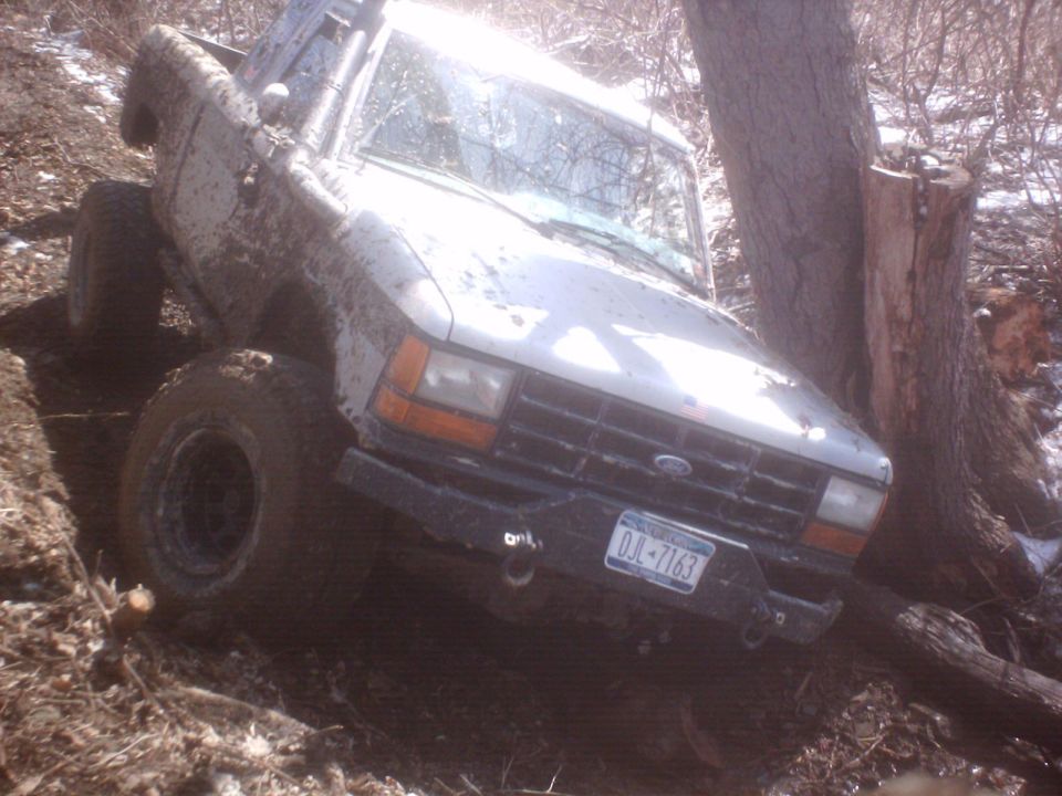 White Ford pickup leaning on a tree with front tow hooks and NY plate in winter woods