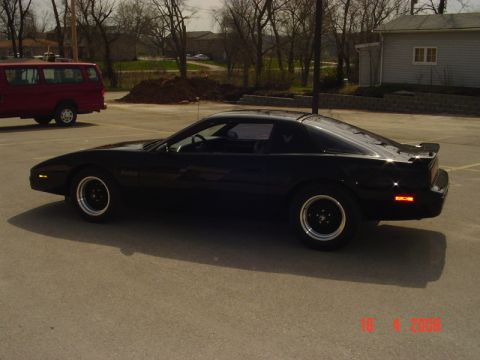 1989 Pontiac Firebird photo