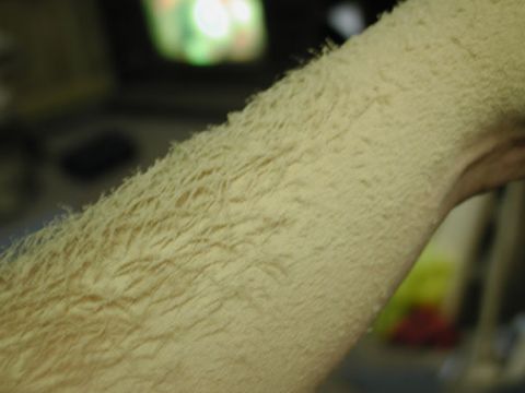 1988 Ford LTD Crown Victoria - No need to ever clean with all new ARM HAIR SAW DUST COLLECTOR!