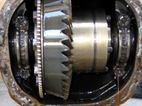 1996 Ford Bronco - The internal components of a vehicle's differential are visible, covered in dark oil.