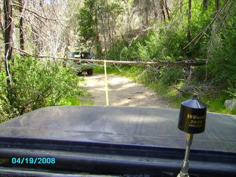 1990 Ford Bronco - Fallen tree blocks the path on a dirt road, with another vehicle ahead. The photo was taken on 04/19/2008.