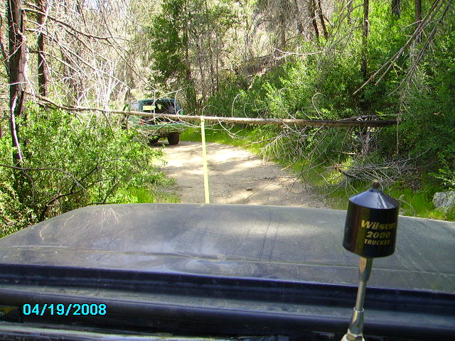 Off-road path blocked by fallen tree, with another vehicle visible in the distance. Date stamp 04/19/2008